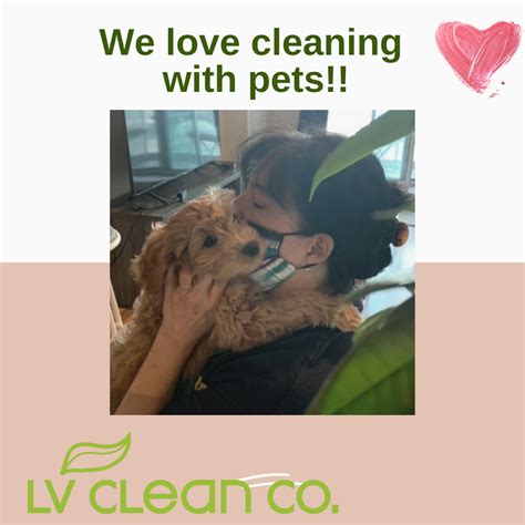 lv clean co - BOOKINGS .